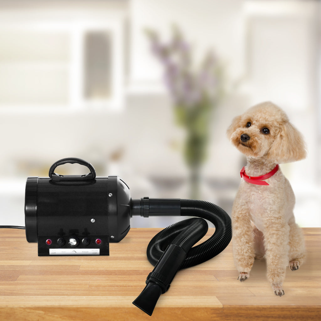 PawHut 2800W Dog Hair Dryer Pet Grooming Blaster Water Blower Dryer w/ 3 Nozzles, Black - Inspirely