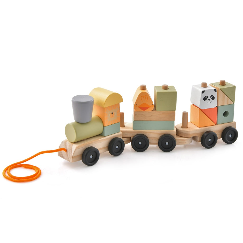 3-Section Toy Train with Stackable Building Blocks