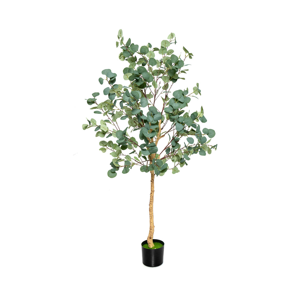 1.4/1.65 m Artificial Eucalyptus Tree with Silver Dollar Leaves-1.65 m
