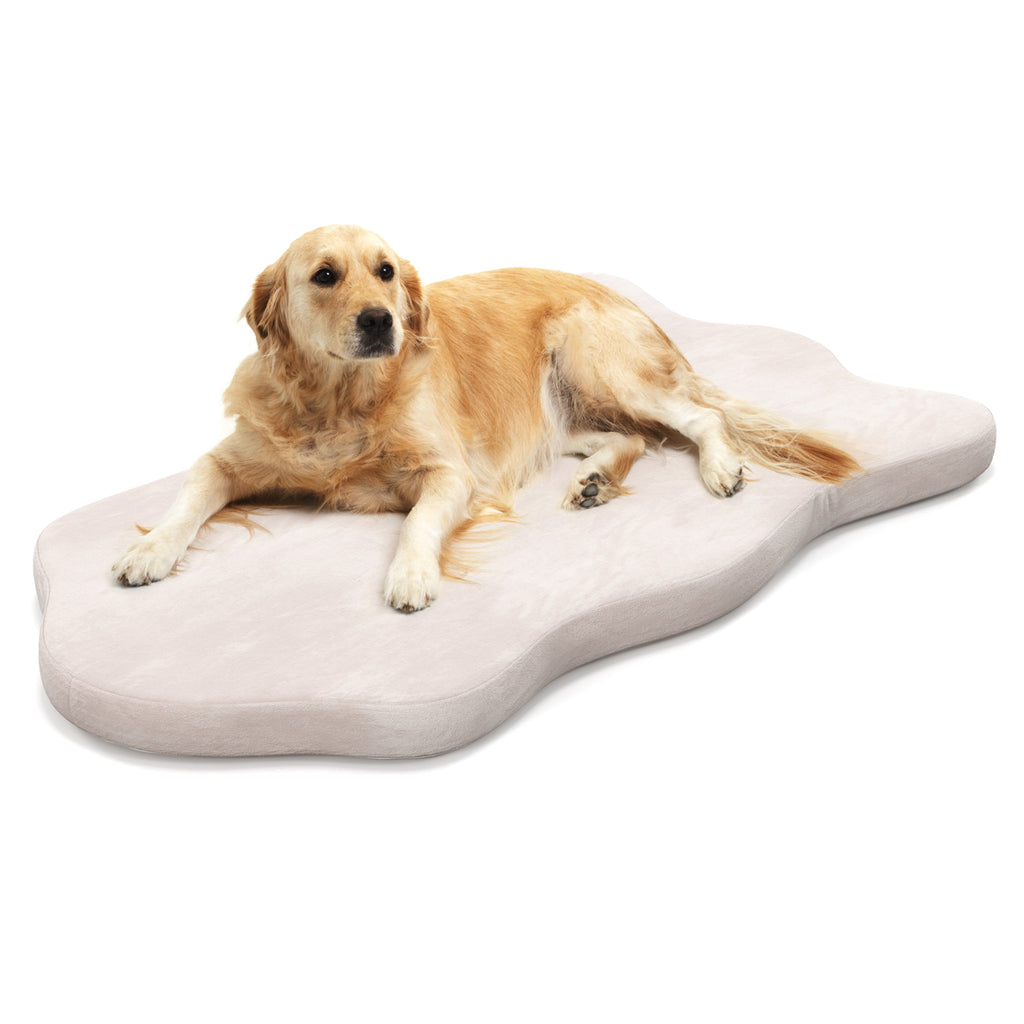 Large Dog Bed with Memory Foam Support and Removable Cover-Beige