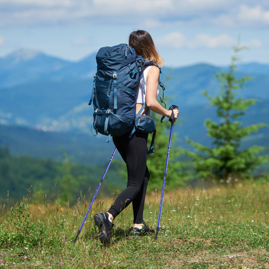 Hiking Pole Adjustable 65-135 cm-Navy