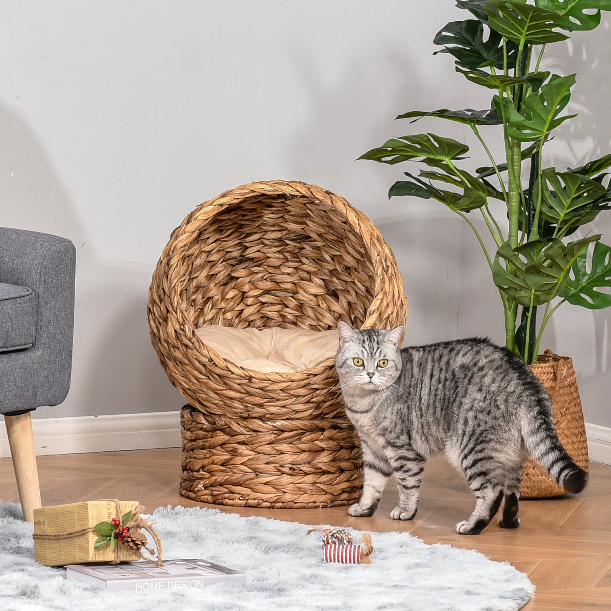 PawHut Wicker Cat Bed, Raised Rattan Cat Basket with Cylindrical Base, Soft Washable Cushion, Brown, 50 x 42 x 60 cm