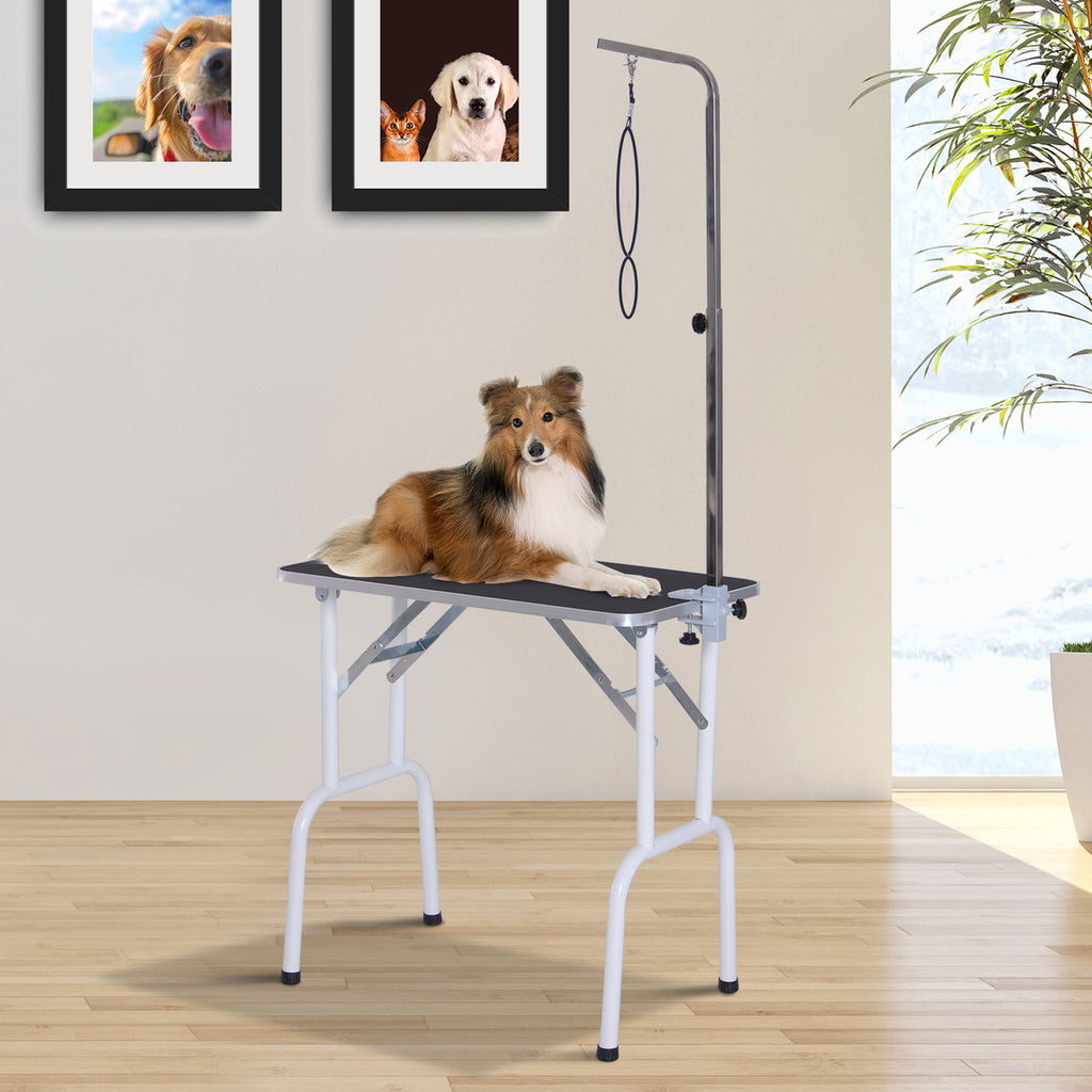 PawHut Folding Pet Grooming Table for Small Dogs with Adjustable Grooming Arm Max Load 30 KG, 81x48.5x80 cm