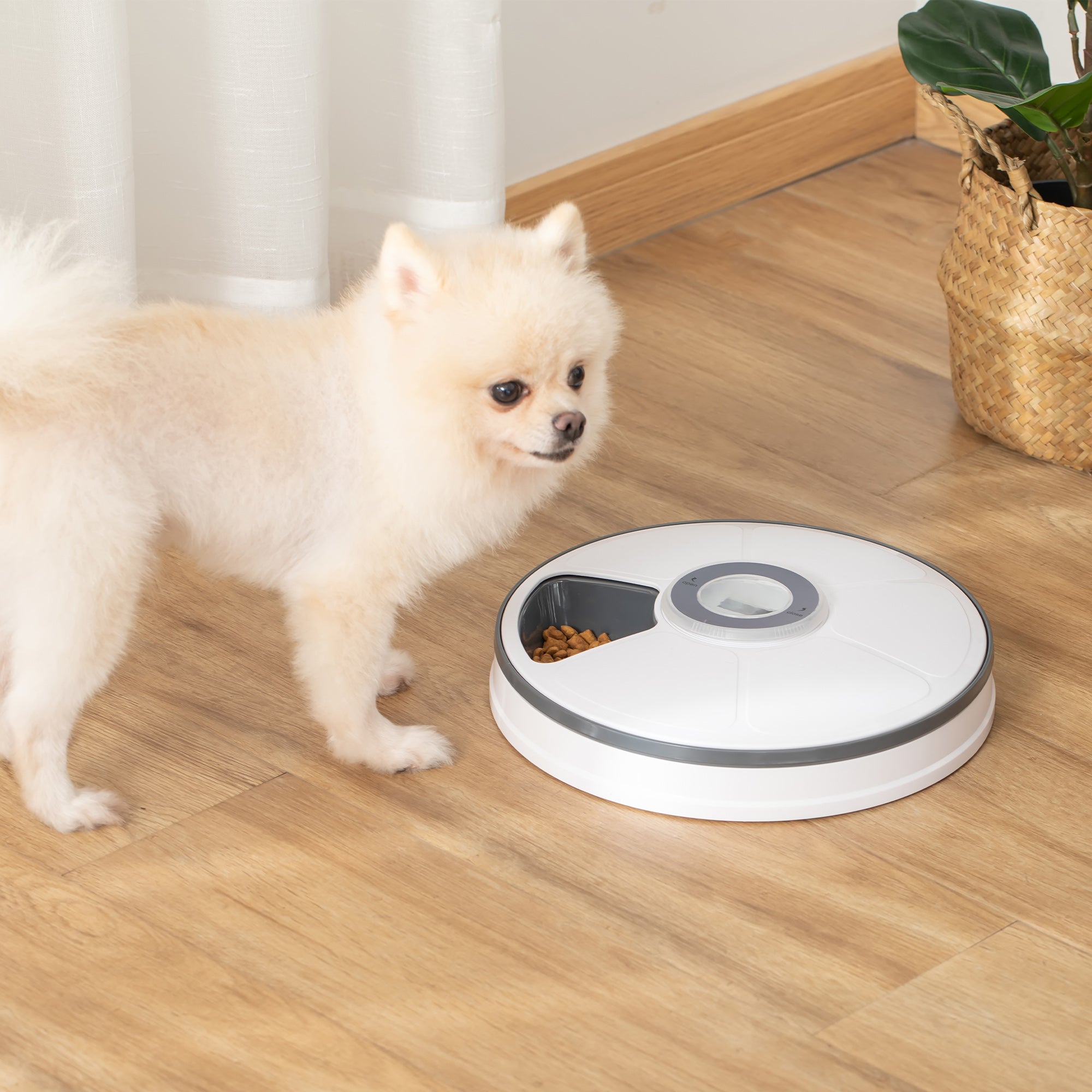 Pet Feeder with Digital Timer, 6-Meal Food Dispenser Trays for Wet or Dry Food - Inspirely