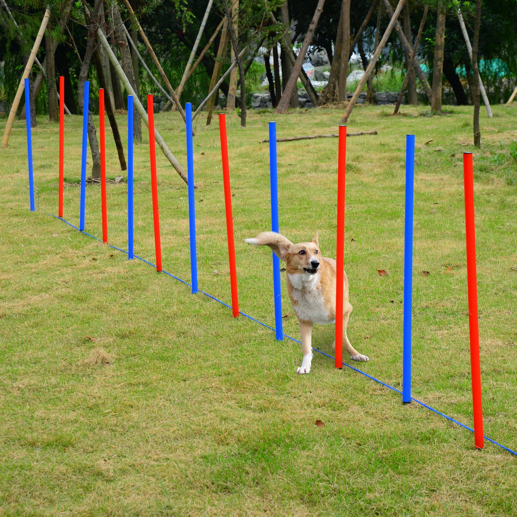 Pawhut Pet Agility Training Run/Jump Set - Inspirely